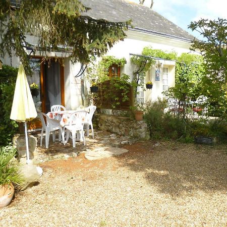 La Brazonnerie Apartment Chenehutte-Treves-Cunault Exterior photo
